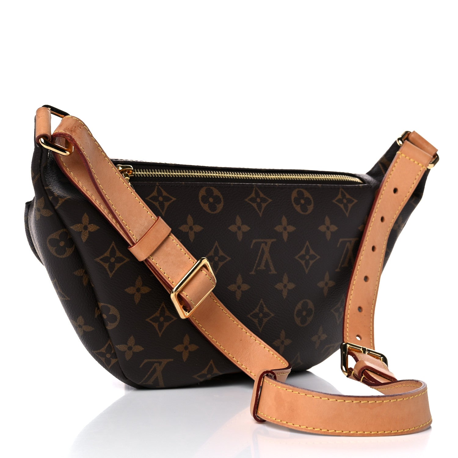 Louis Vuitton Monogram Bumbag 3 of 20