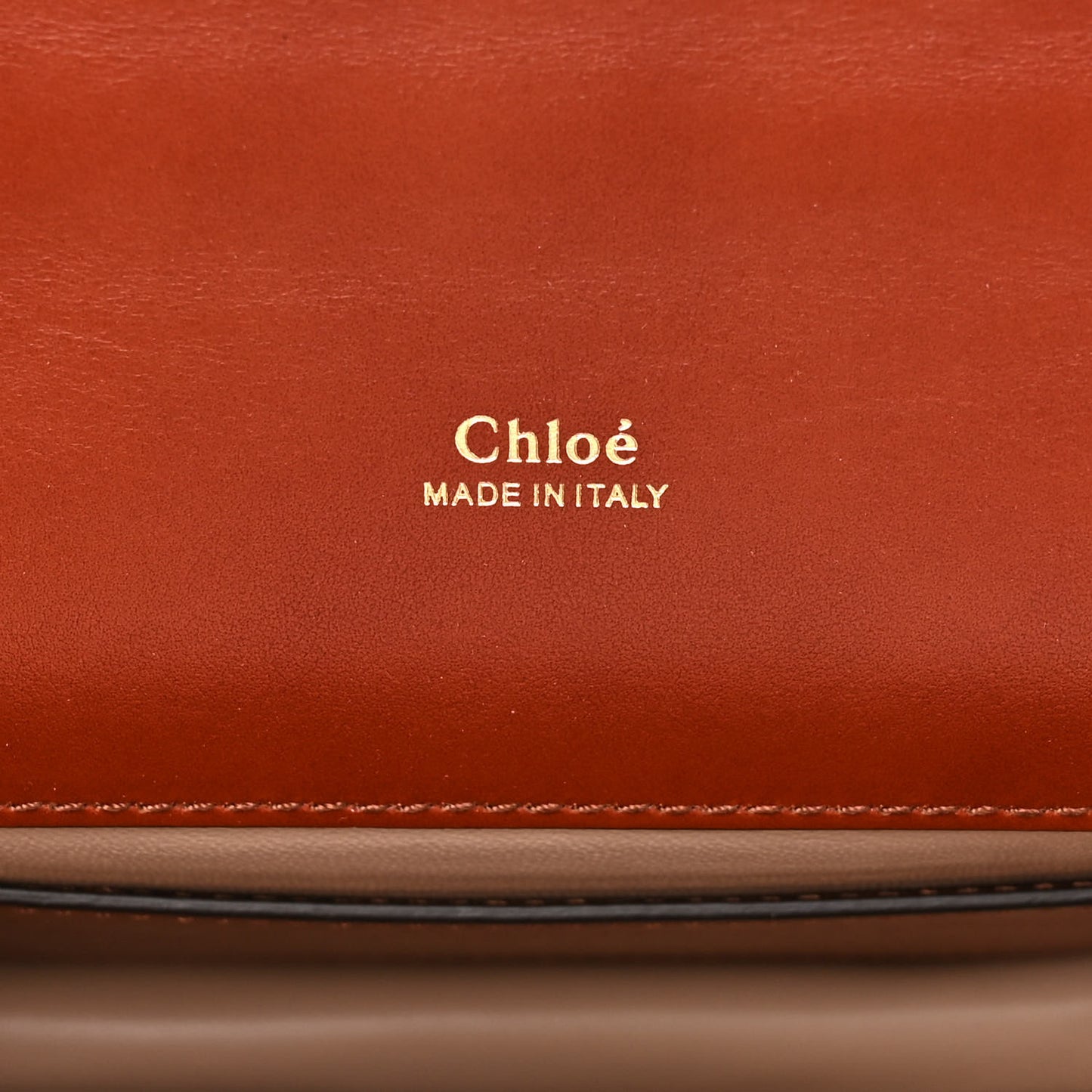 Shiny Goatskin Calfskin Aby Chain Shoulder Bag