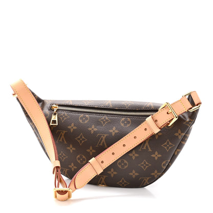 Louis Vuitton Monogram Bumbag 3 of 9
