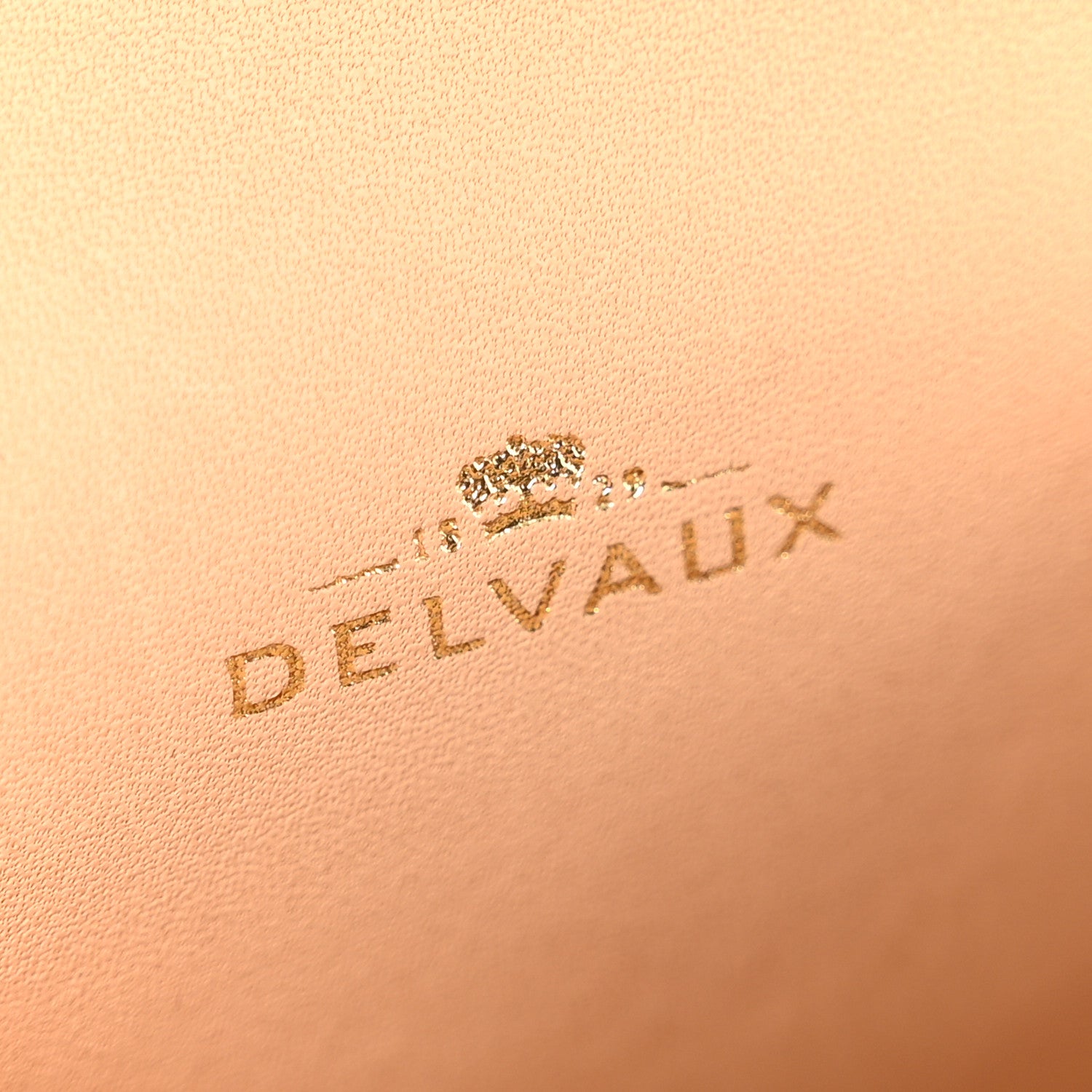 Delvaux Calfskin Mini Brillant Bag Charm Vegetal 4 of 5