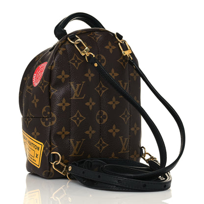 Louis Vuitton Monogram My World Tour Palm Springs Backpack Mini 3 of 15