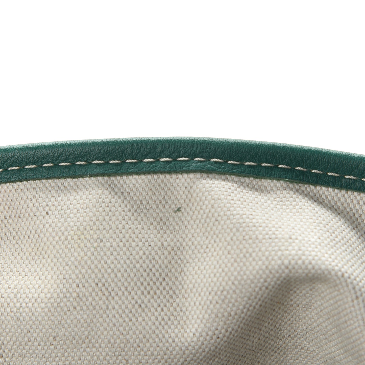 Goyardine Saint Louis PM Green