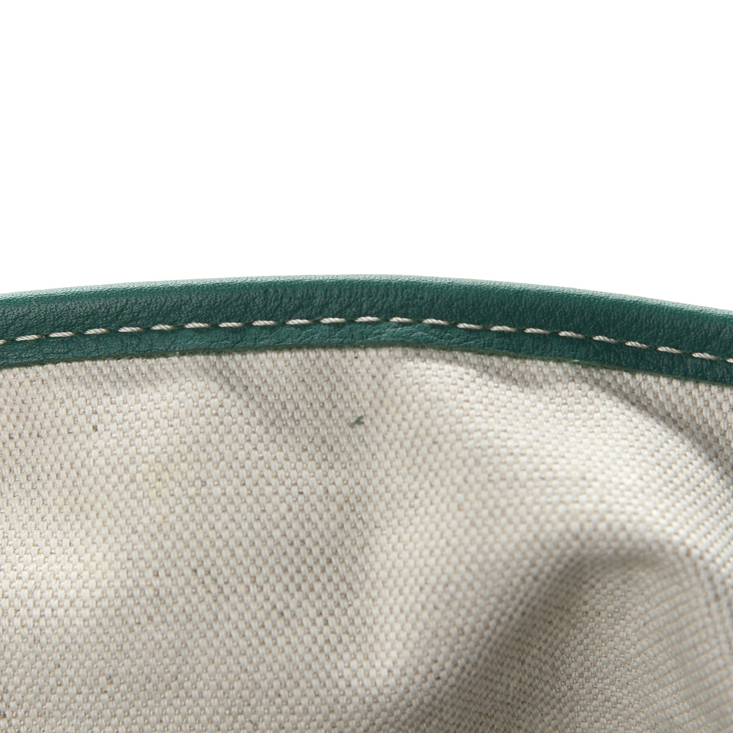 Goyard Goyardine Saint Louis PM Green 7 of 13