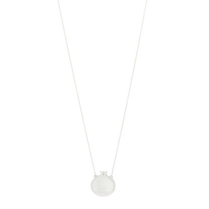 Tiffany Sterling Silver Elsa Peretti Bottle Pendant Necklace 1 of 6
