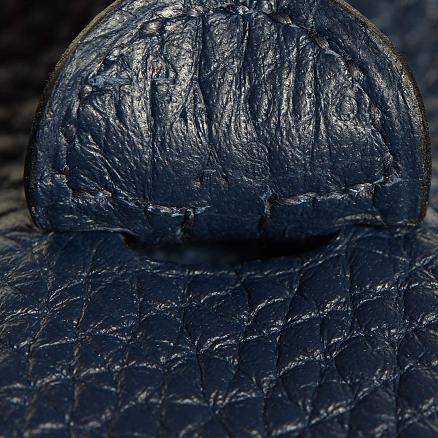 Taurillon Clemence Evelyne TPM Bleu Saphir