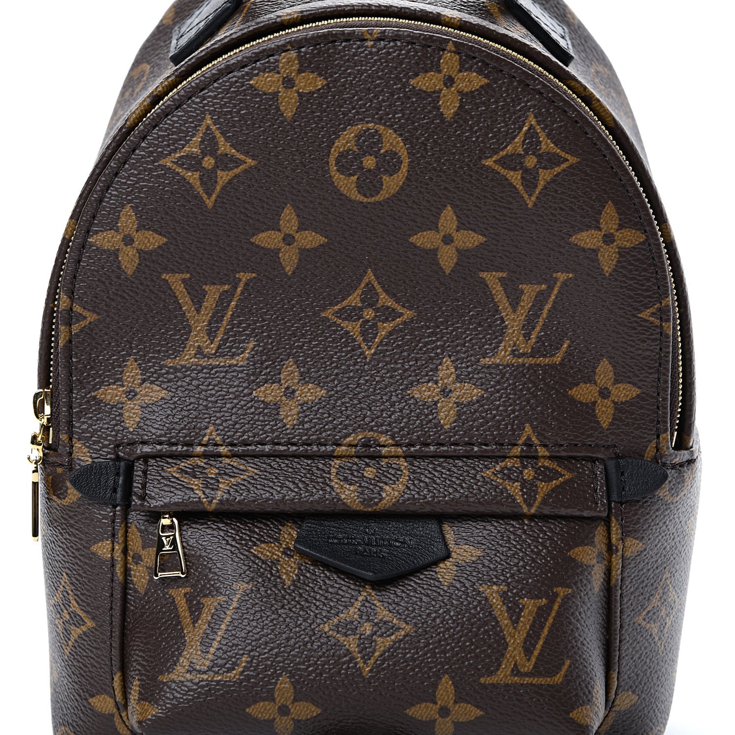 Monogram Palm Springs Backpack Mini
