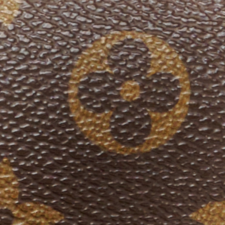 Monogram Papillon 30 with Companion
