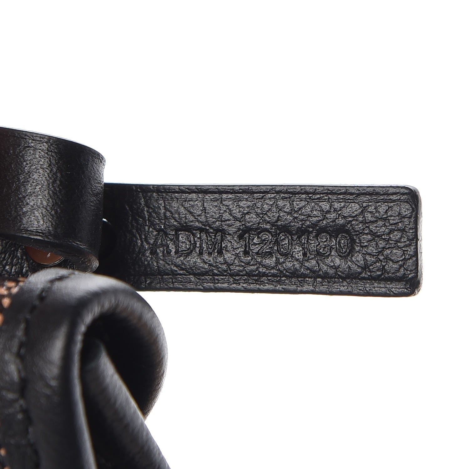 Goyard Goyardine Saint Louis PM Black 8 of 9