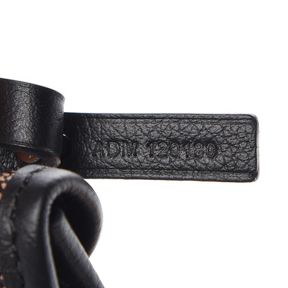 Goyard Goyardine Saint Louis PM Black 8 of 9