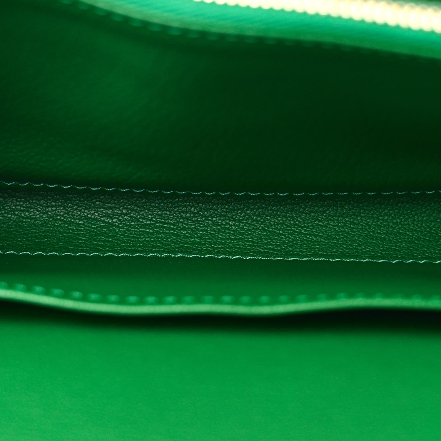 Louis Vuitton Alligator Chain Louise GM Emerald 5 of 10