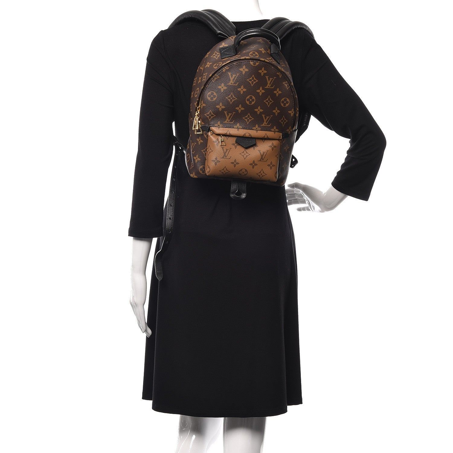Louis Vuitton Reverse Monogram Palm Springs Backpack PM 2 of 10