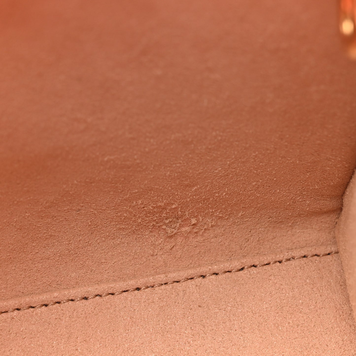 Textured Dollar Calfskin Web Mini Diana Tote Bag Wild Rose Black