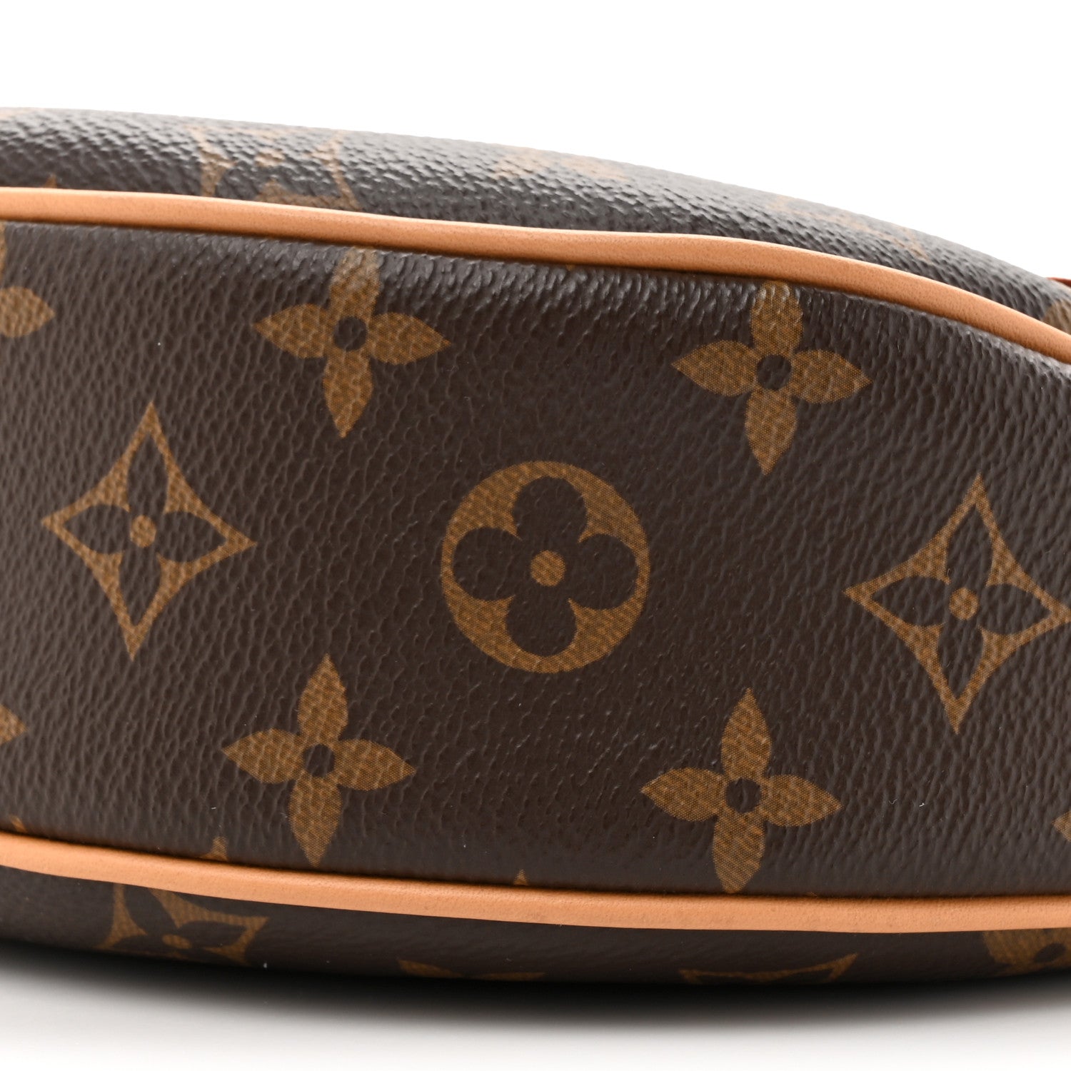 Louis Vuitton Monogram Loop 8 of 12