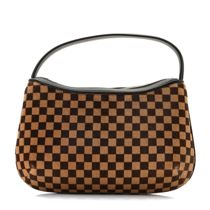 Louis Vuitton Calf Hair Damier Sauvage Tigre 1 of 10