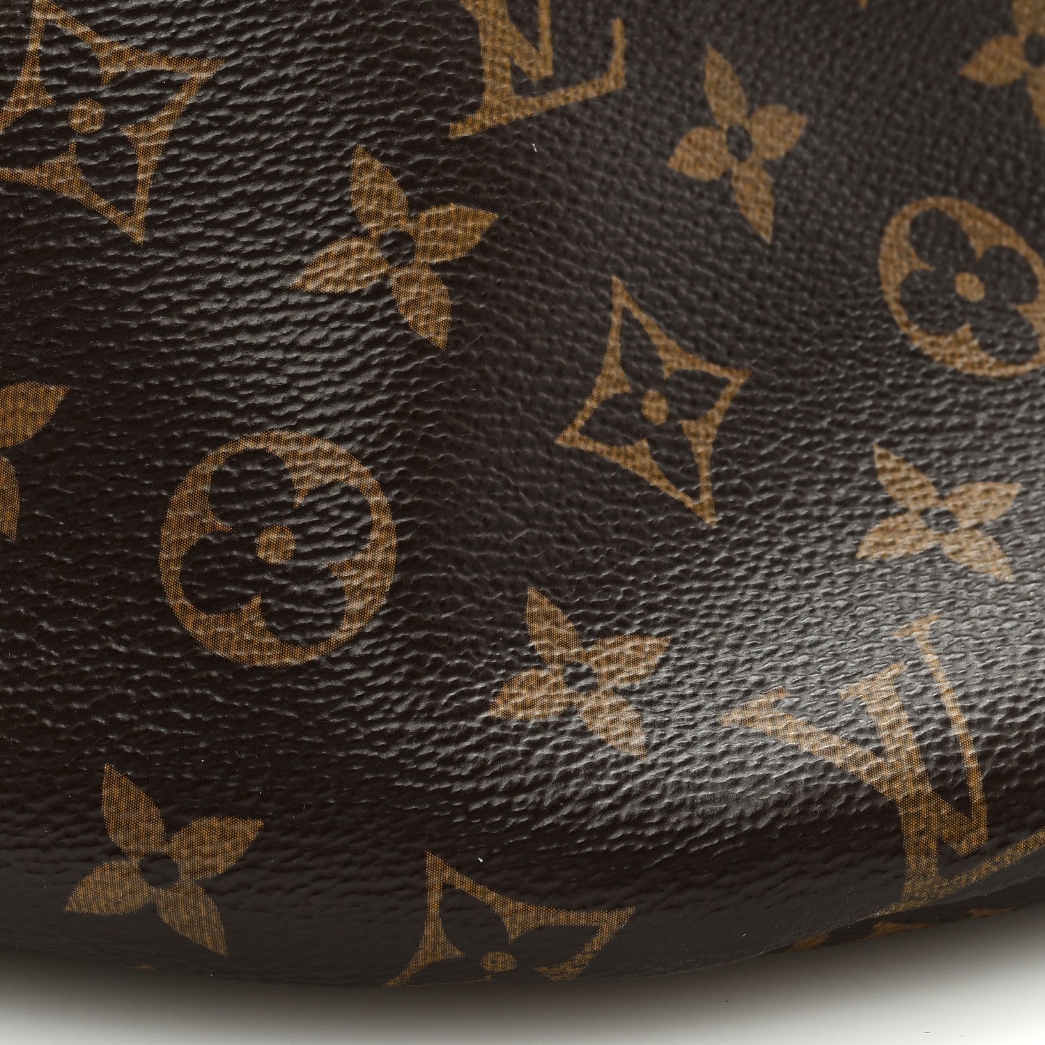 Louis Vuitton Monogram Bumbag 7 of 8