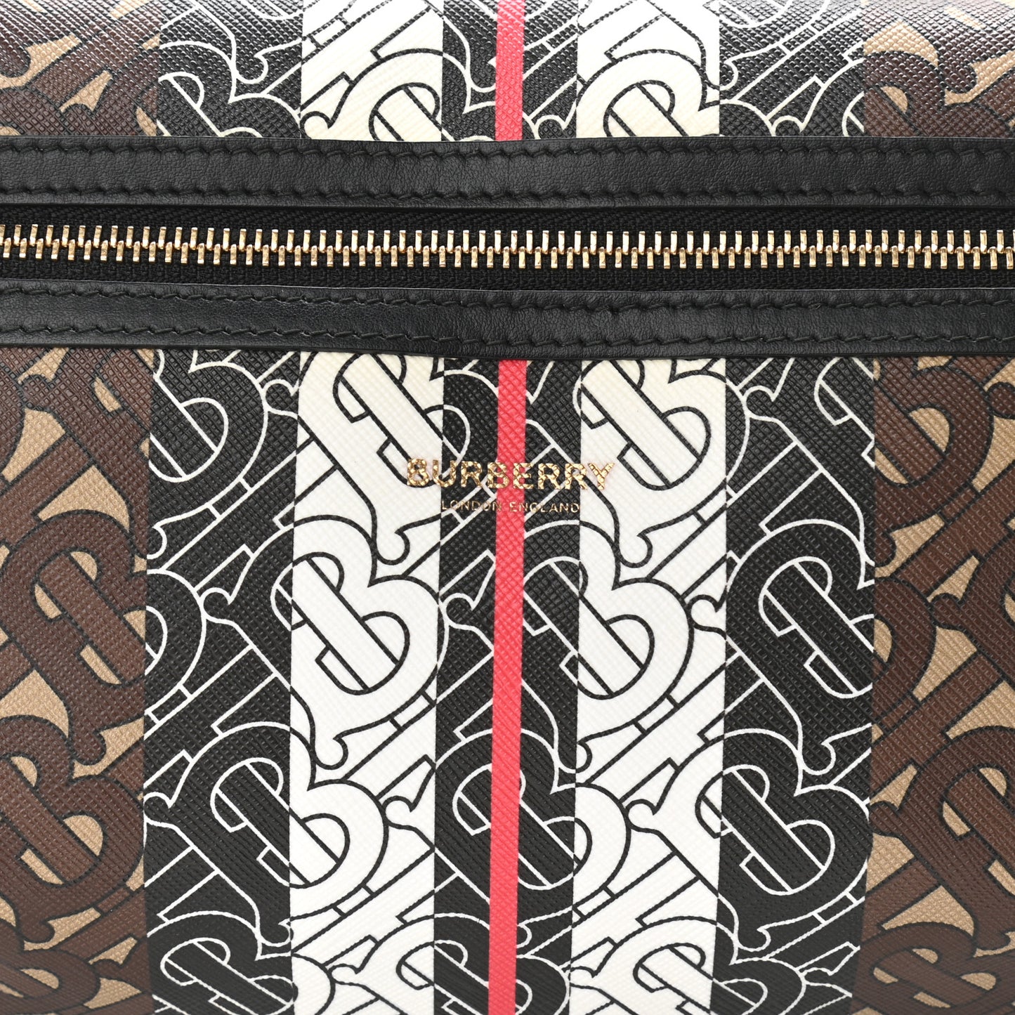 E-Canvas Monogram Stripe Medium Sonny Bum Bag Bridle Brown