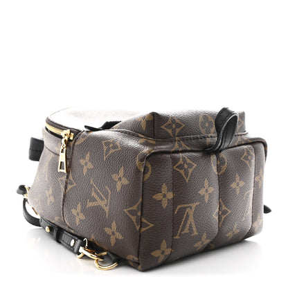 Louis Vuitton Monogram Palm Springs Backpack Mini 4 of 10
