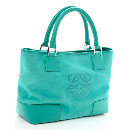 Loewe Suede Calfskin Amazona Turquoise 3 of 10