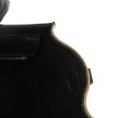 Celine Natural Canvas Smooth Calfskin Nano Luggage Black 12 of 13