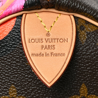 Louis Vuitton Monogram Roses Speedy 30 6 of 8