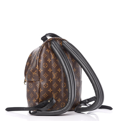 Louis Vuitton Monogram Palm Springs Backpack PM 3 of 9