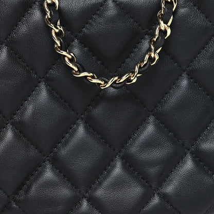 Chanel Lambskin Quilted Small Hobo Bag Black 8 of 10