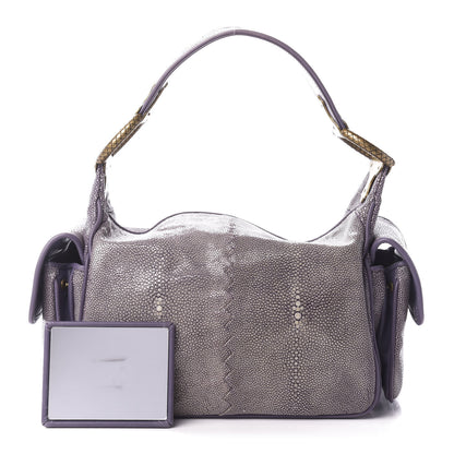 Bottega Veneta Stingray Cocker Hobo Parma 1 of 12
