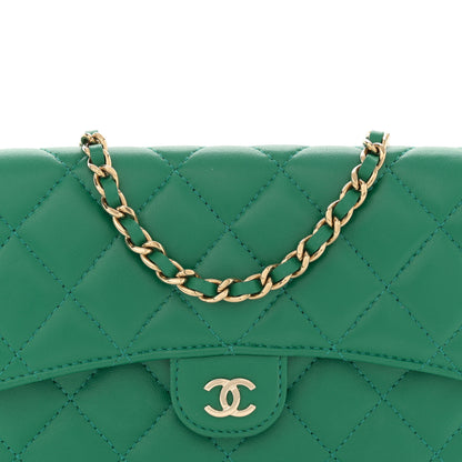 Chanel Lambskin Quilted Flap Phone Holder With Chain Green 9 of 13