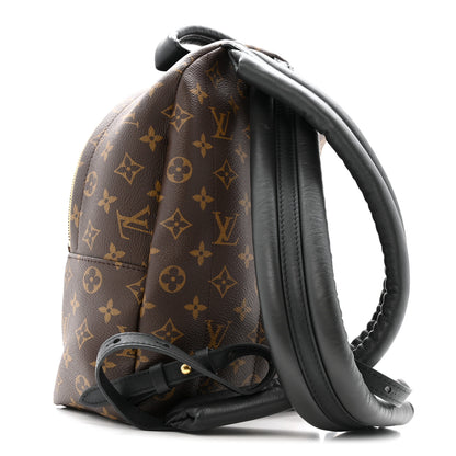 Louis Vuitton Monogram Palm Springs Backpack PM 3 of 12