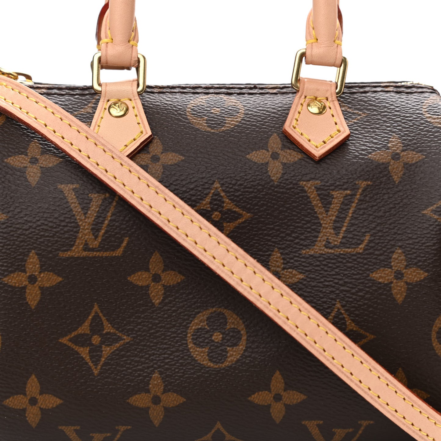 Monogram Nano Speedy