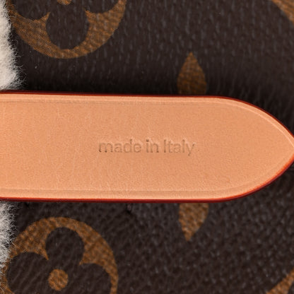 Louis Vuitton Monogram Shearling Cozygram Neonoe BB 7 of 10