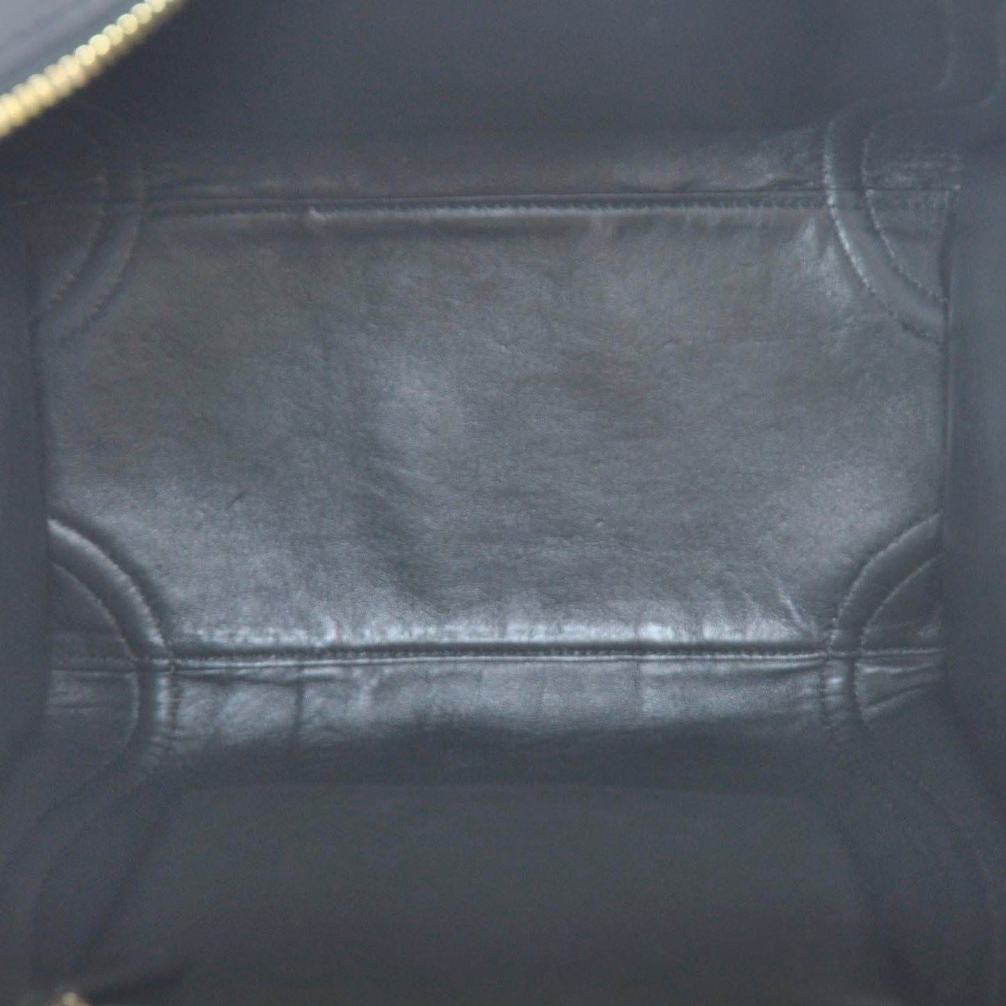 Ombre Python Mini Luggage Black