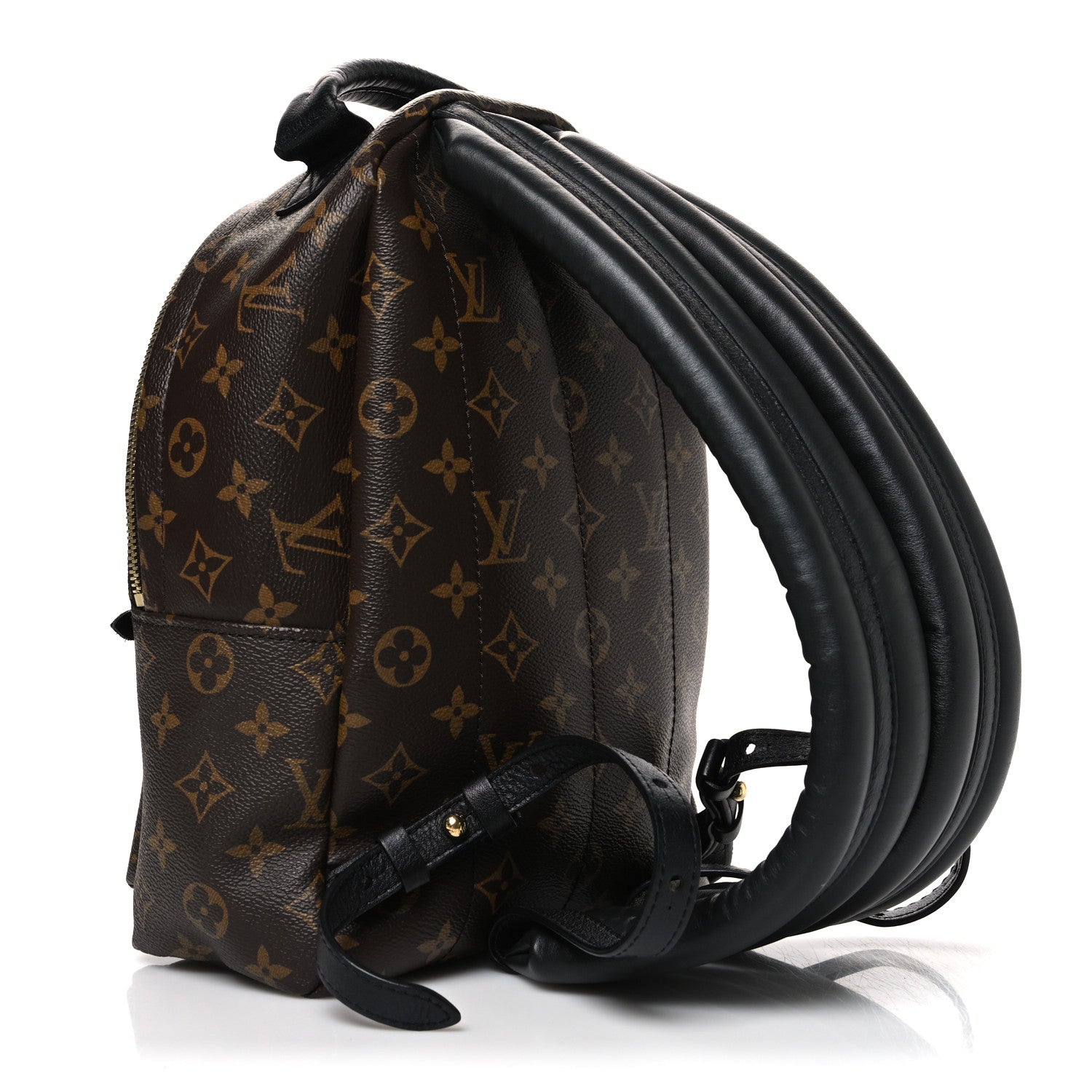 Louis Vuitton Monogram Palm Springs Backpack PM 3 of 11