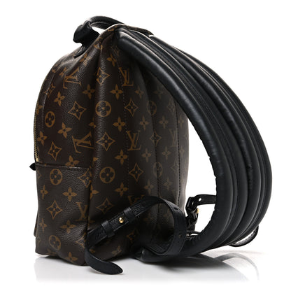 Louis Vuitton Monogram Palm Springs Backpack PM 3 of 11
