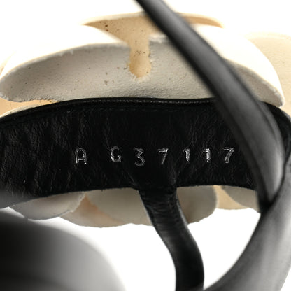 Chanel Lambskin Camellia Thong Sandals 36 Black White 8 of 8