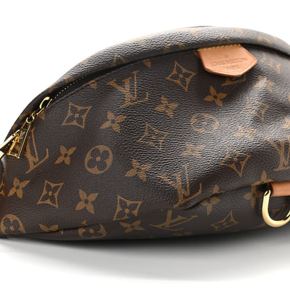 Louis Vuitton Monogram Bumbag 7 of 8