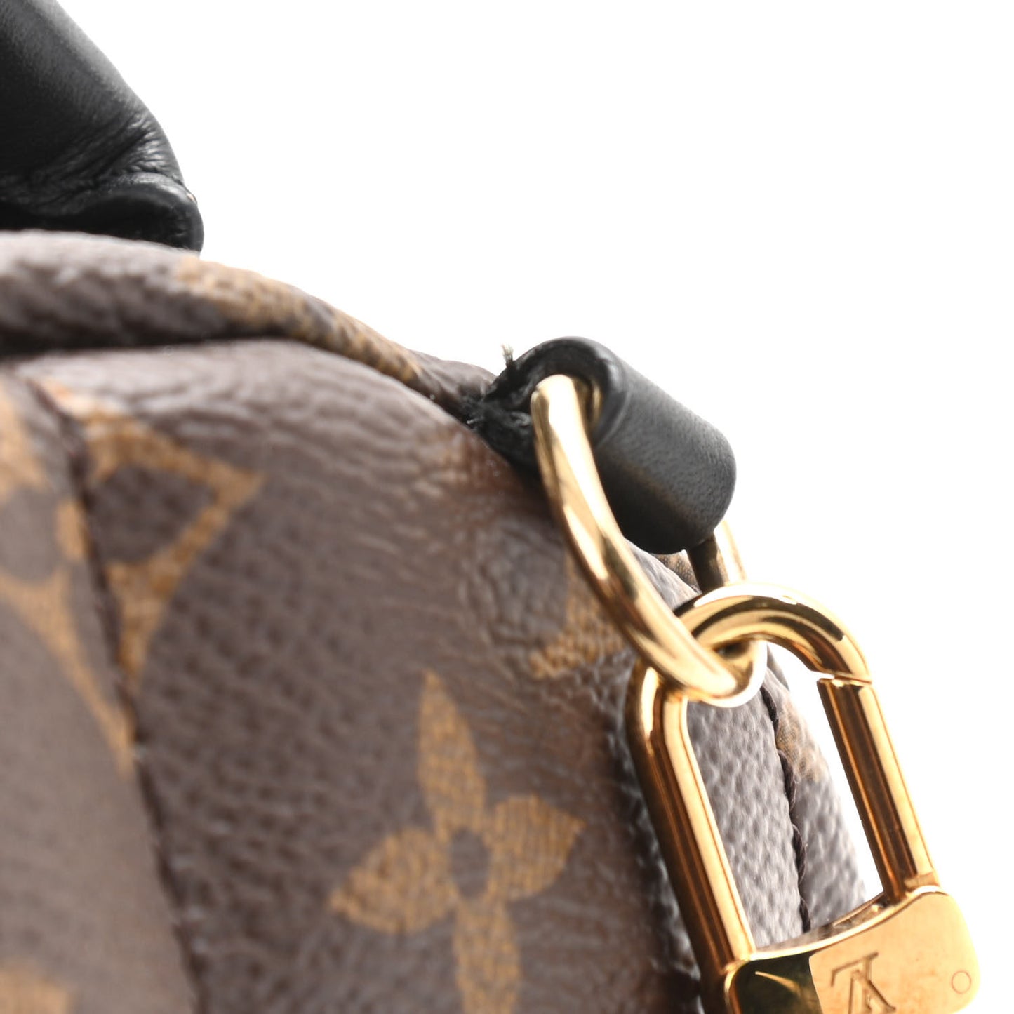 Monogram Palm Springs Backpack Mini