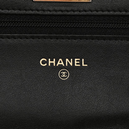 Chanel Aged Calfskin Quilted Reissue Wallet On Chain WOC Black 6 of 10