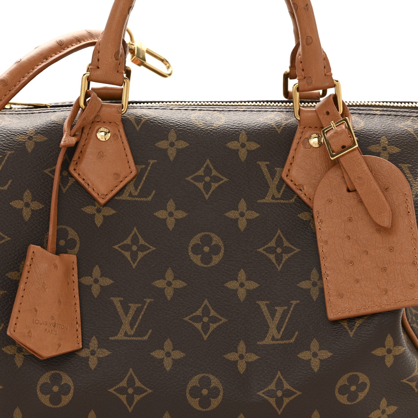 Monogram Speedy Soft 30 Boho