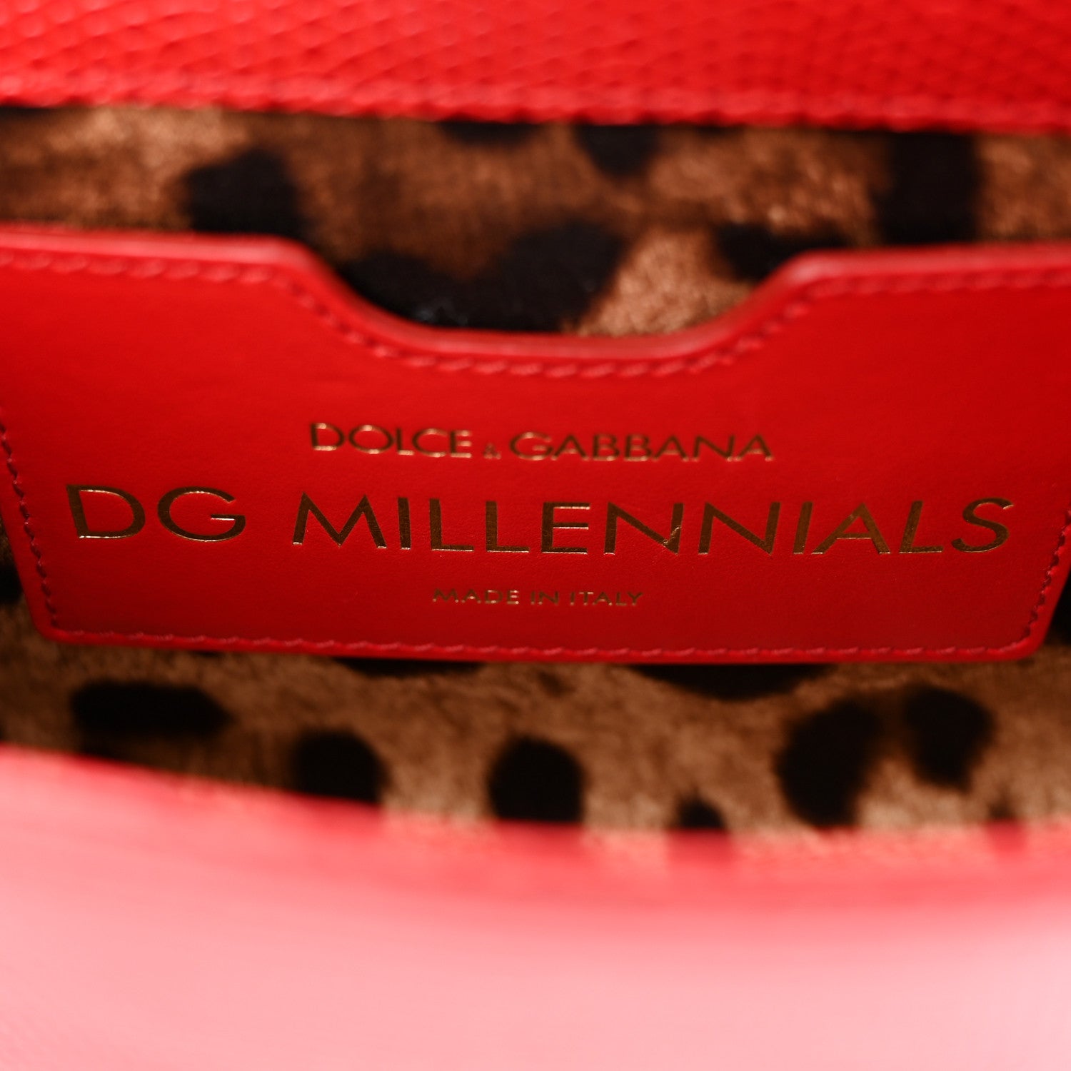 Dolce & Gabbana Lizard Embossed Crystal Embellished DG Millennials Mini Crossbody Bag Red 6 of 9