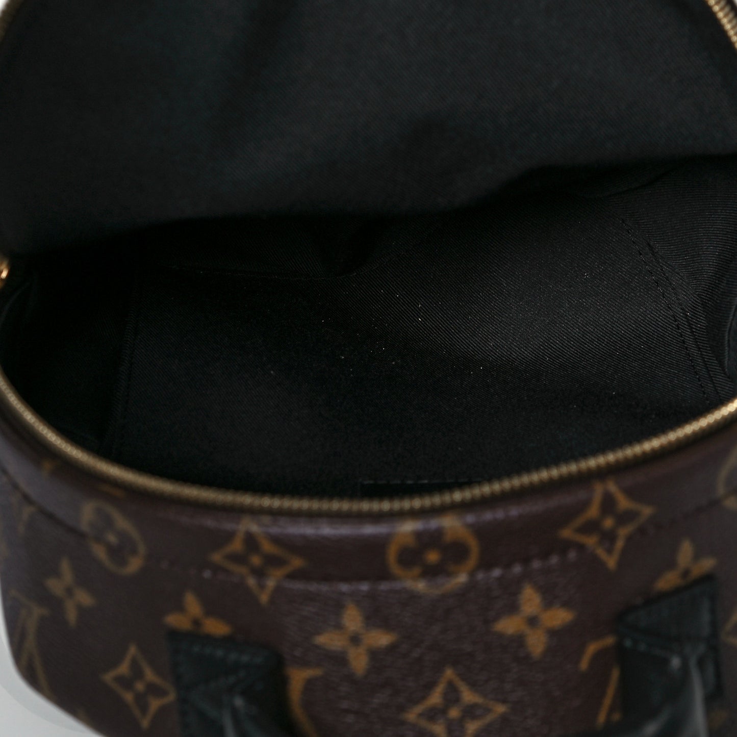 Monogram Palm Springs Backpack PM