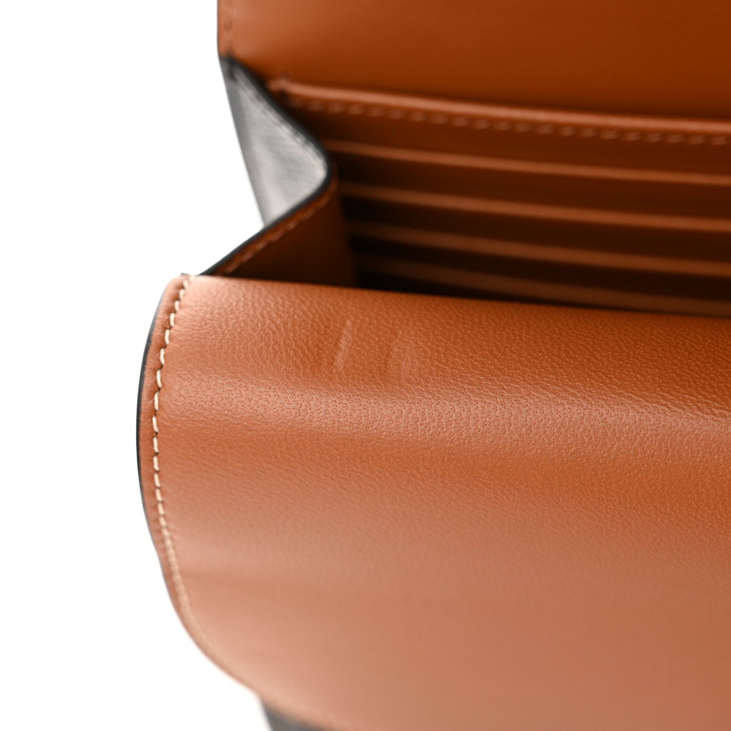 Triomphe Canvas Lambskin Wallet On Strap Tan