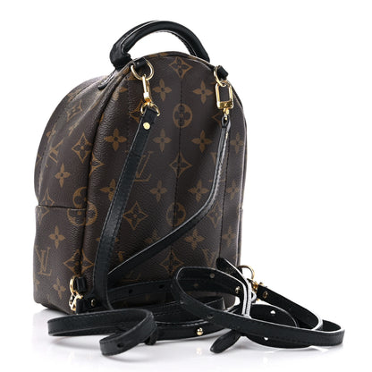 Louis Vuitton Monogram Palm Springs Backpack Mini 3 of 17