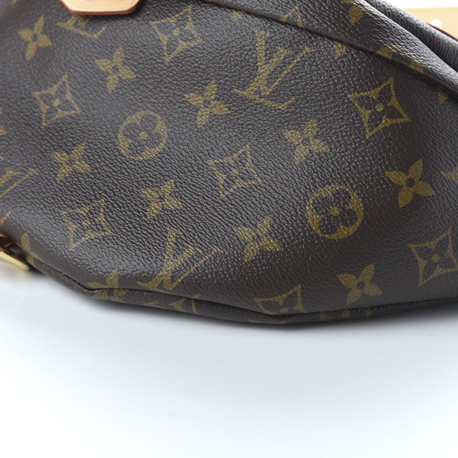 Louis Vuitton Monogram Bumbag 7 of 11