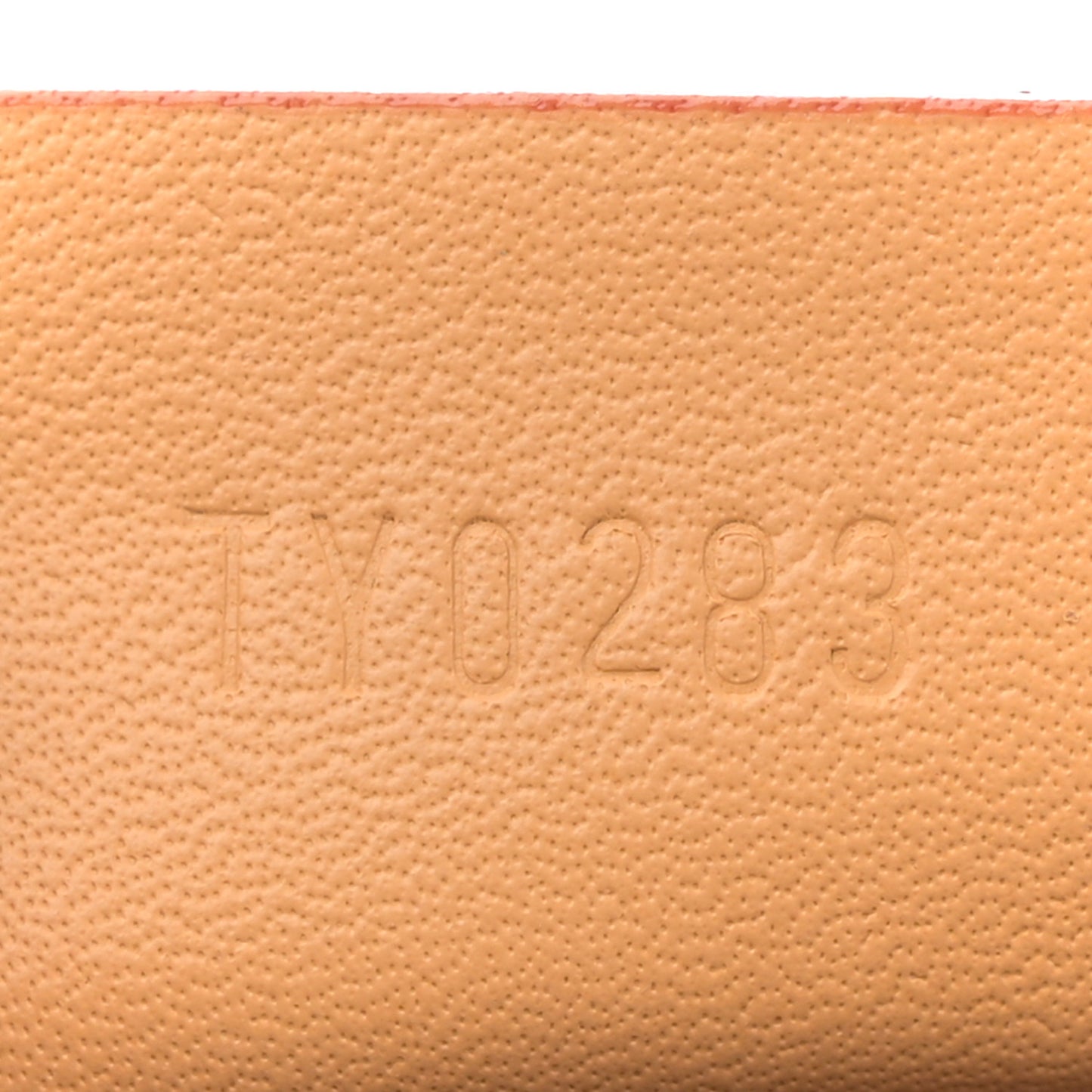 Monogram Nano Speedy Bandouliere