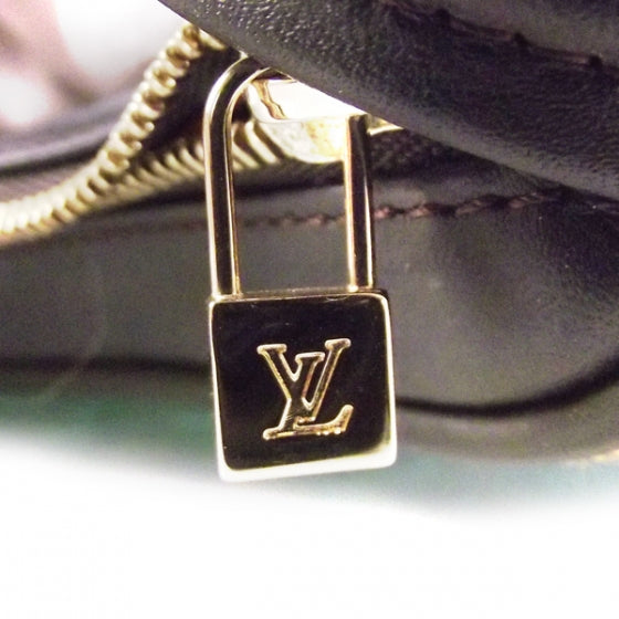 Louis Vuitton Damier Sauvage Tigre 7 of 9