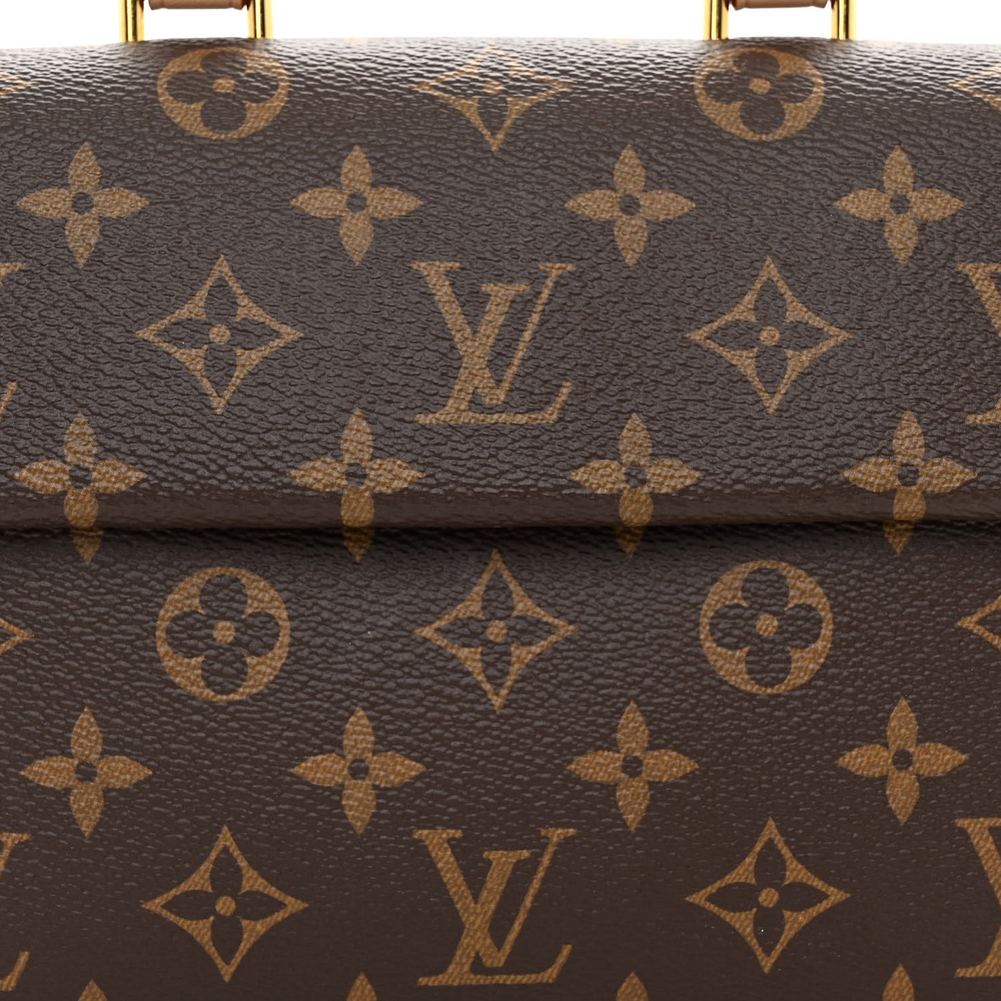 Monogram Mini Cluny