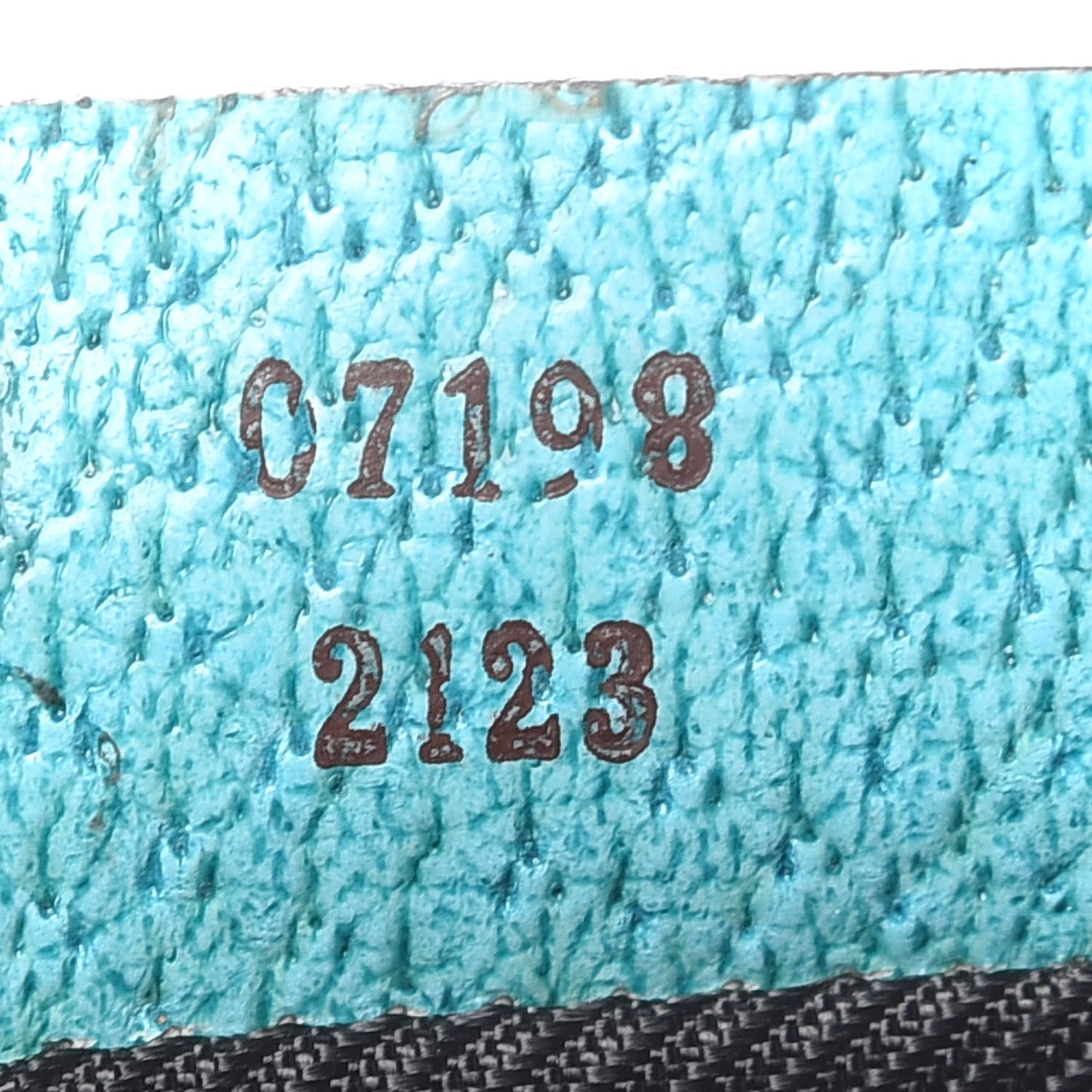 Monogram Boat Pochette Teal