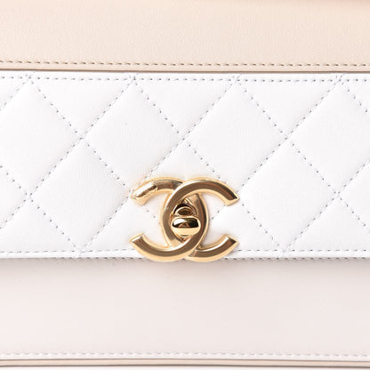 Chanel Lambskin Calfskin Quilted Shoulder Flap Bag Beige White 8 of 13