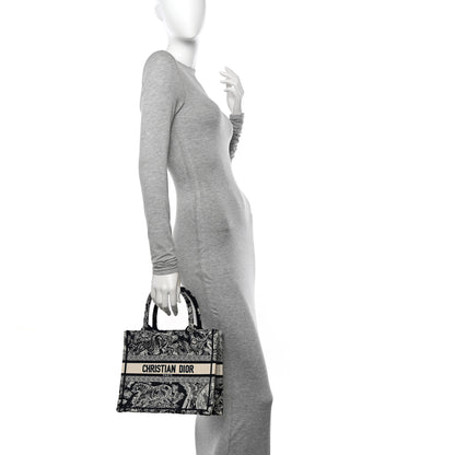 Christian Dior Canvas Embroidered Small Dioriviera Toile De Jouy Book Tote Blue 2 of 11